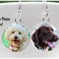 Dog Earrings - Custom Pet picture Earrings - Valentine Gift for little girls, daughter, mom - send 1 or pet 2 photos in a message